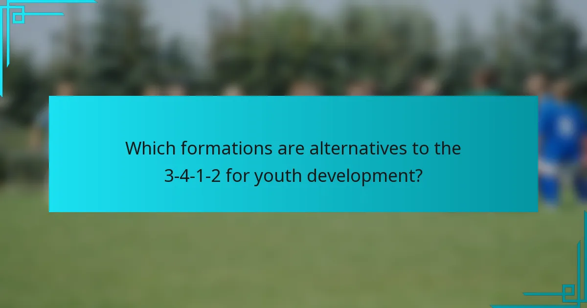 Which formations are alternatives to the 3-4-1-2 for youth development?